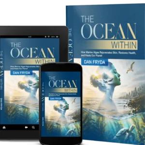 THE OCEAN WITHIN